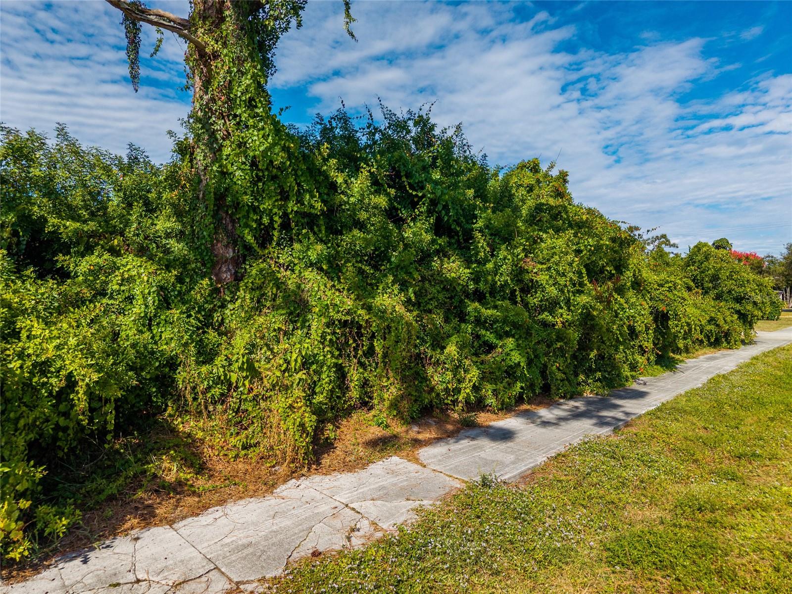 Image 18 of 18 For 31 Seminole Drive