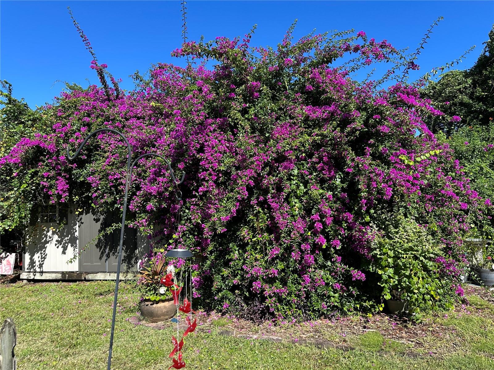 Image 15 of 15 For 1302 Pine Song Drive