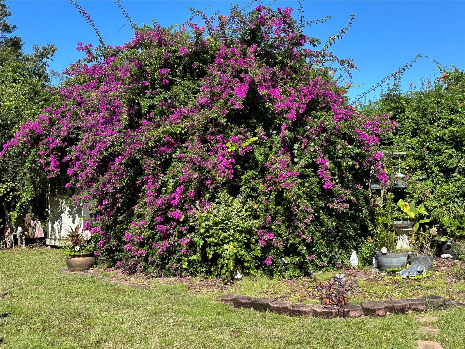 Image 17 of 38 For 1302 Pine Song Drive