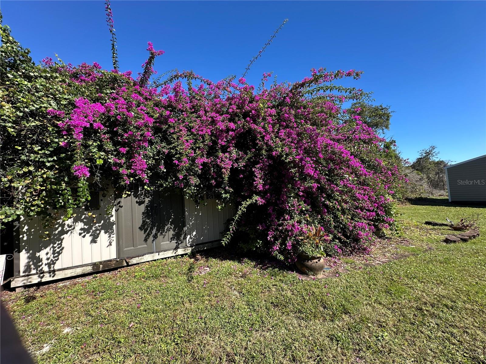 Image 18 of 38 For 1302 Pine Song Drive