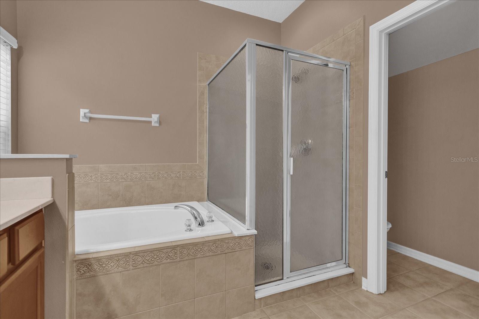 Image 17 of 34 For 14217 Bridgewater Crossings Boulevard