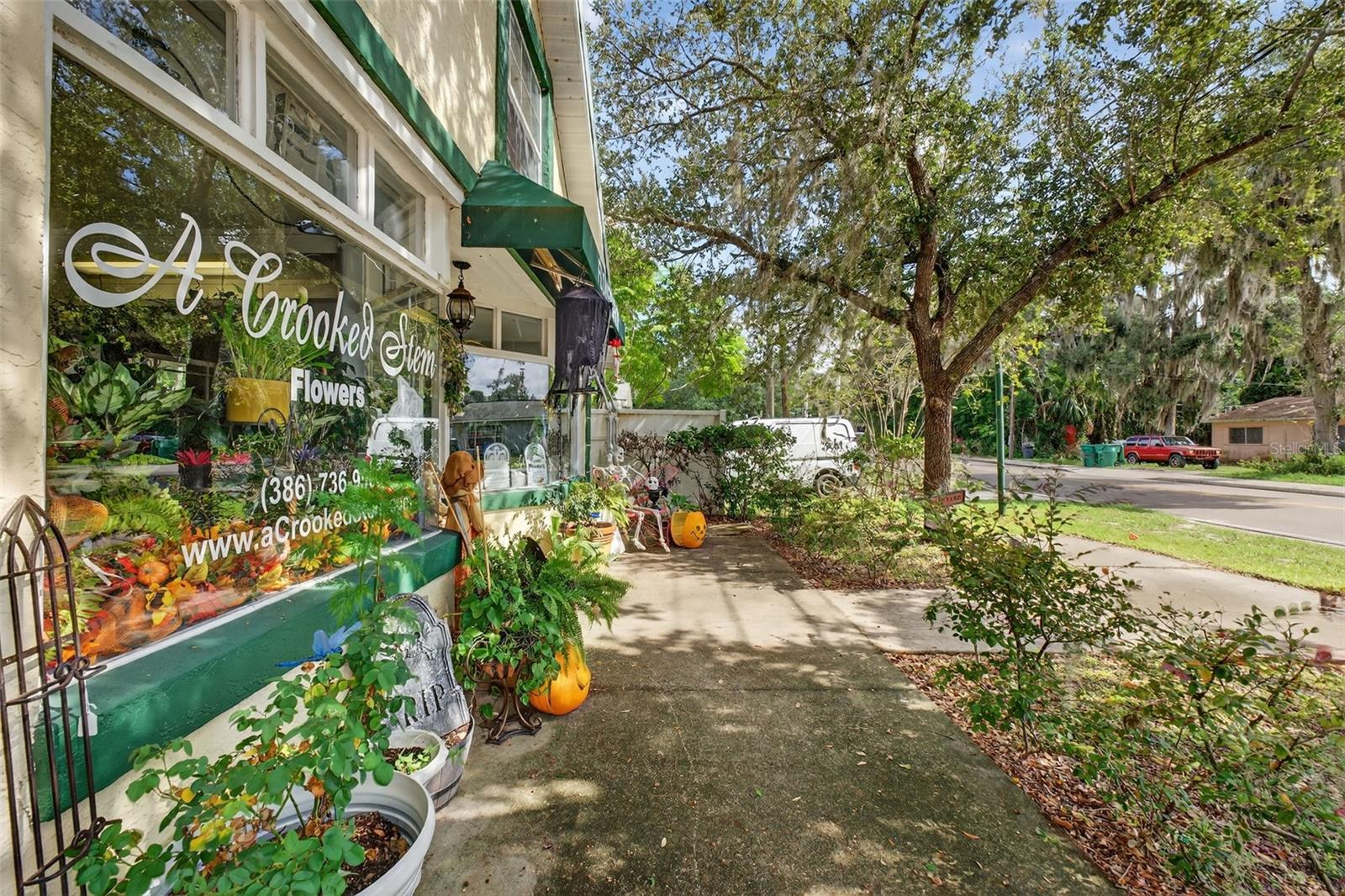 Image 4 of 43 For 237 Plymouth Avenue