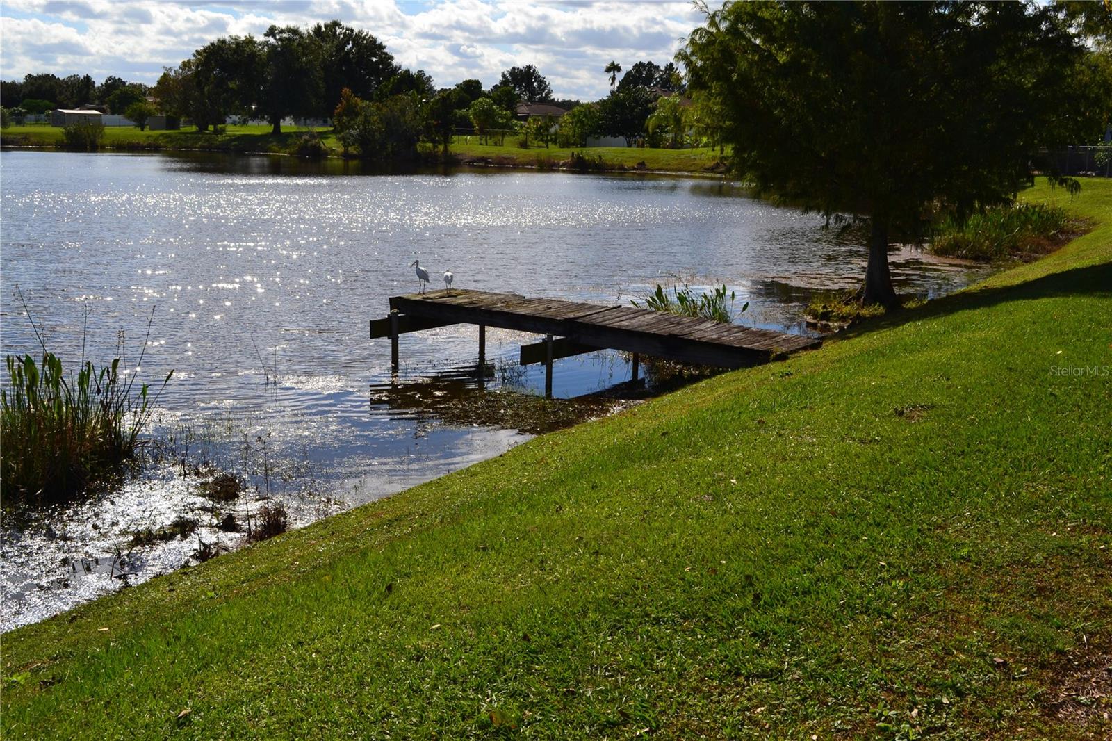 Image 28 of 45 For 3780 Fountainbleu Boulevard