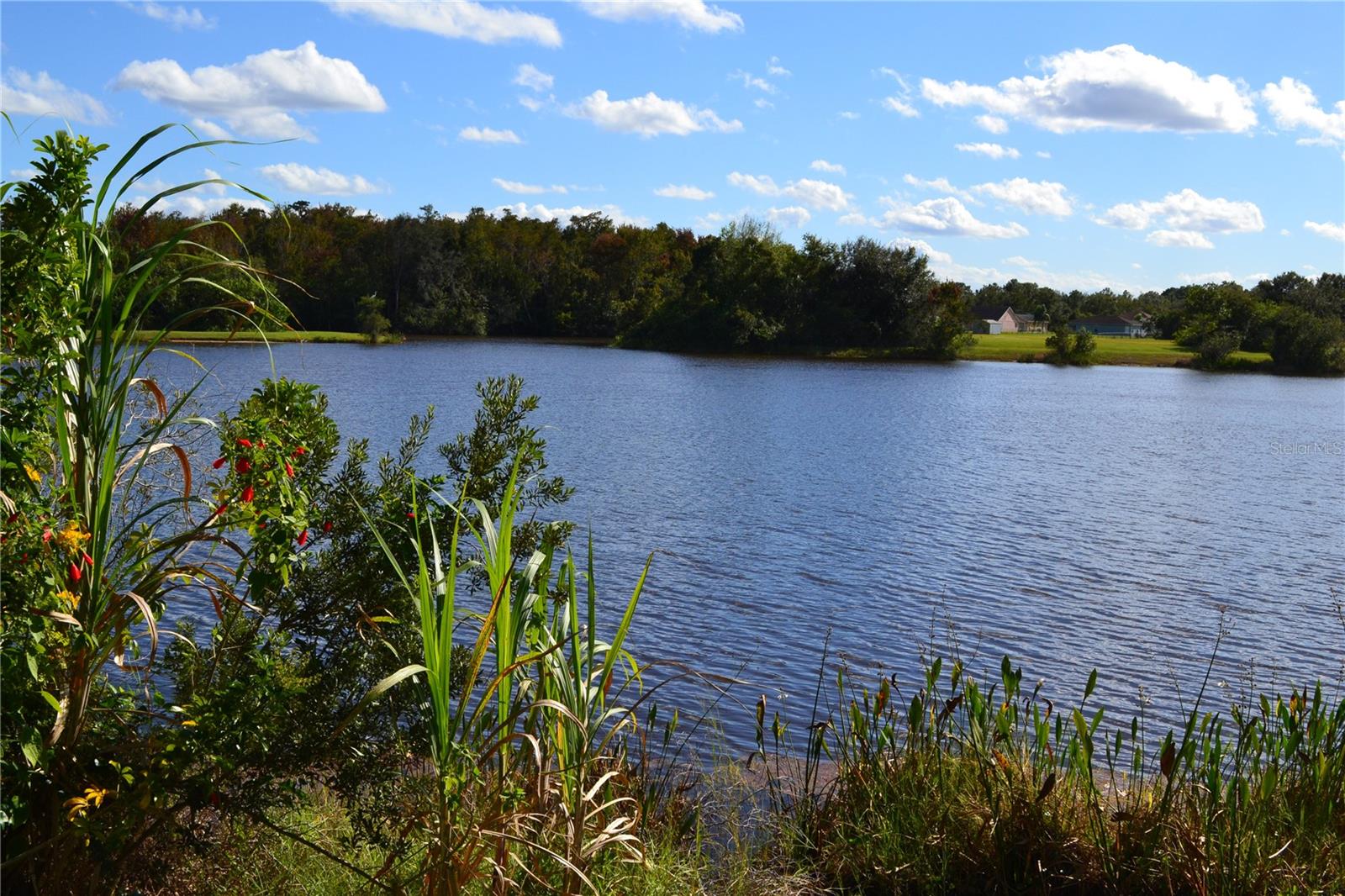 Image 29 of 45 For 3780 Fountainbleu Boulevard