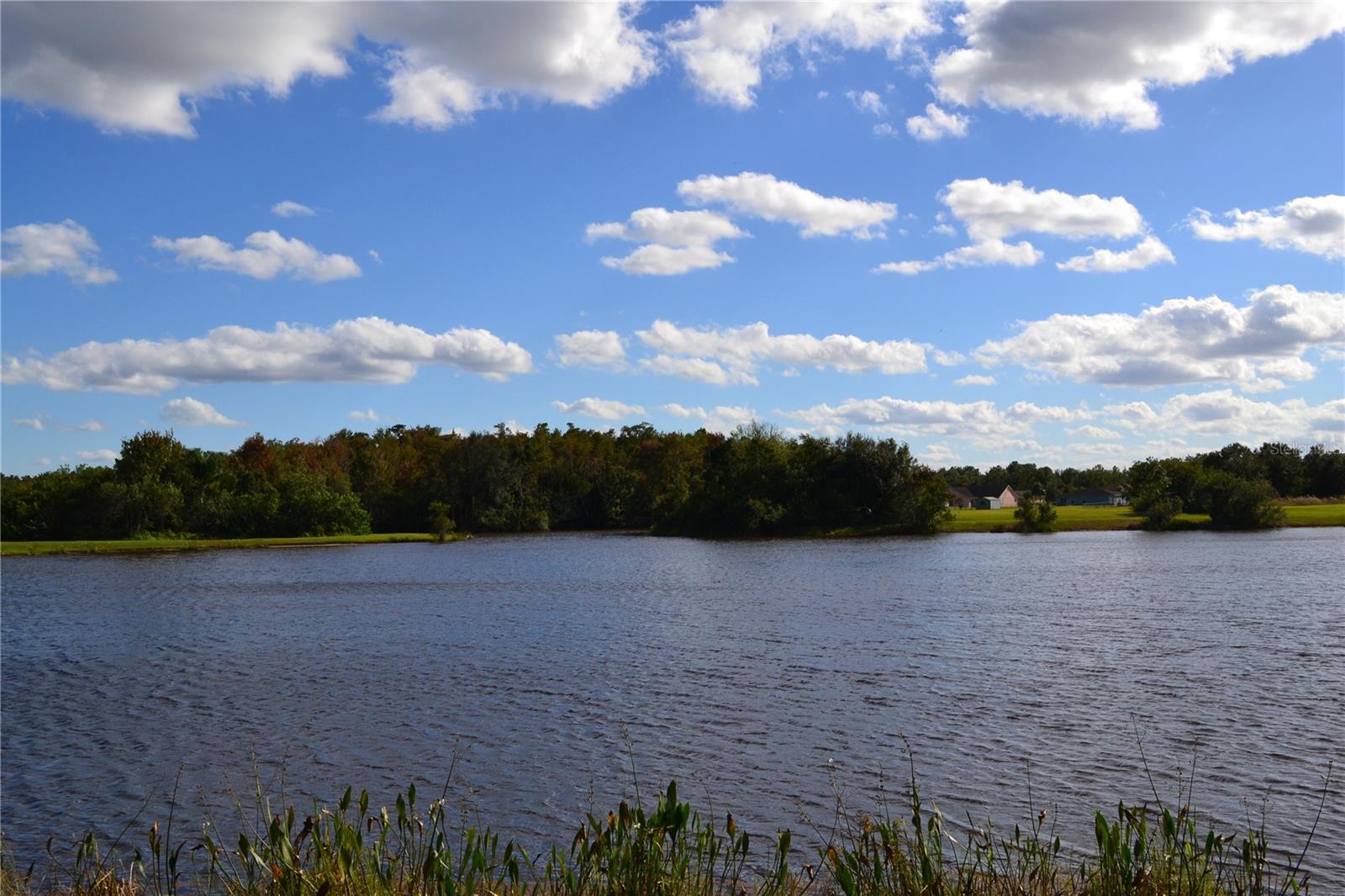 Image 30 of 45 For 3780 Fountainbleu Boulevard