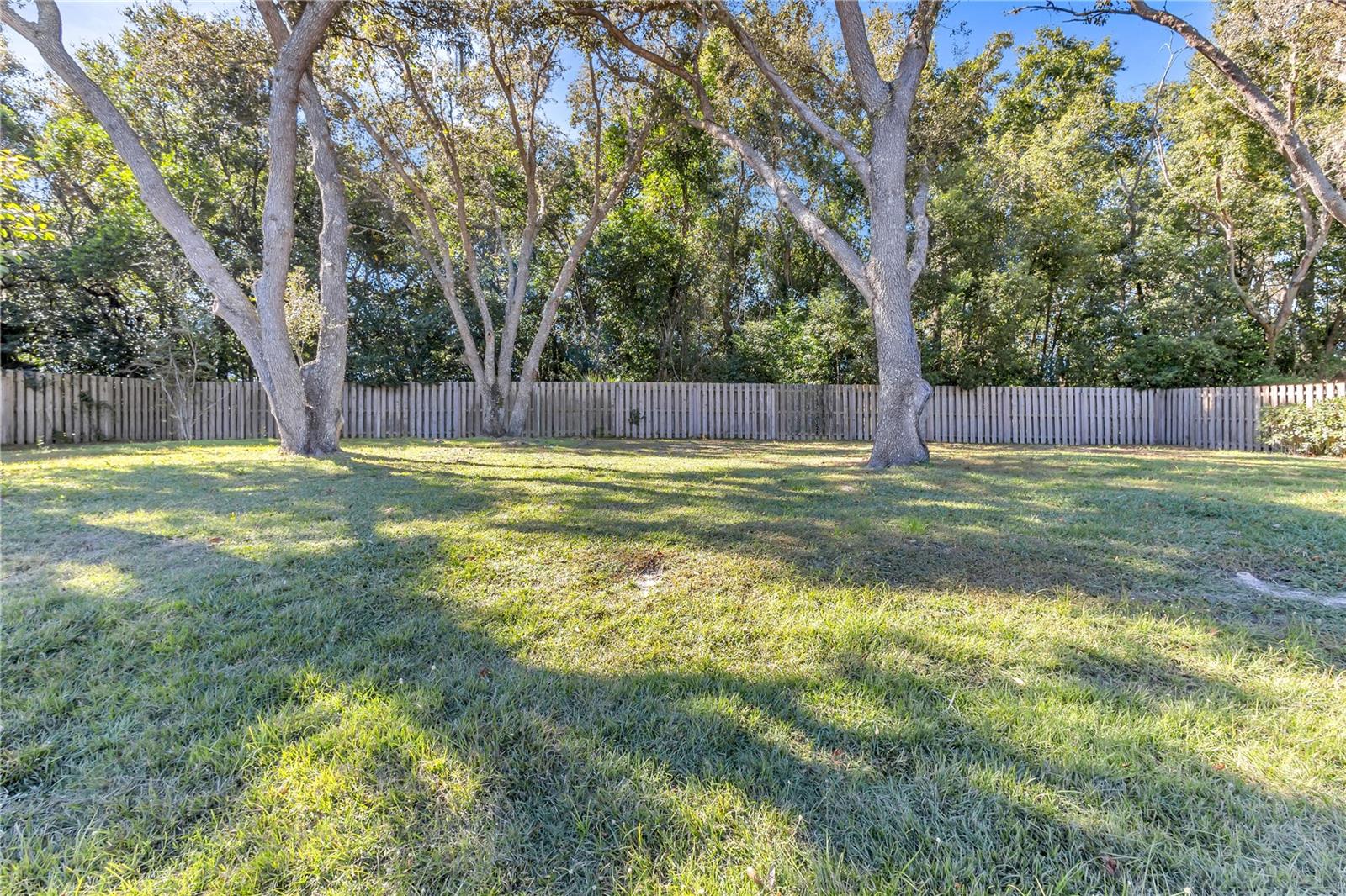 Image 40 of 57 For 657 Mount Stirling Avenue