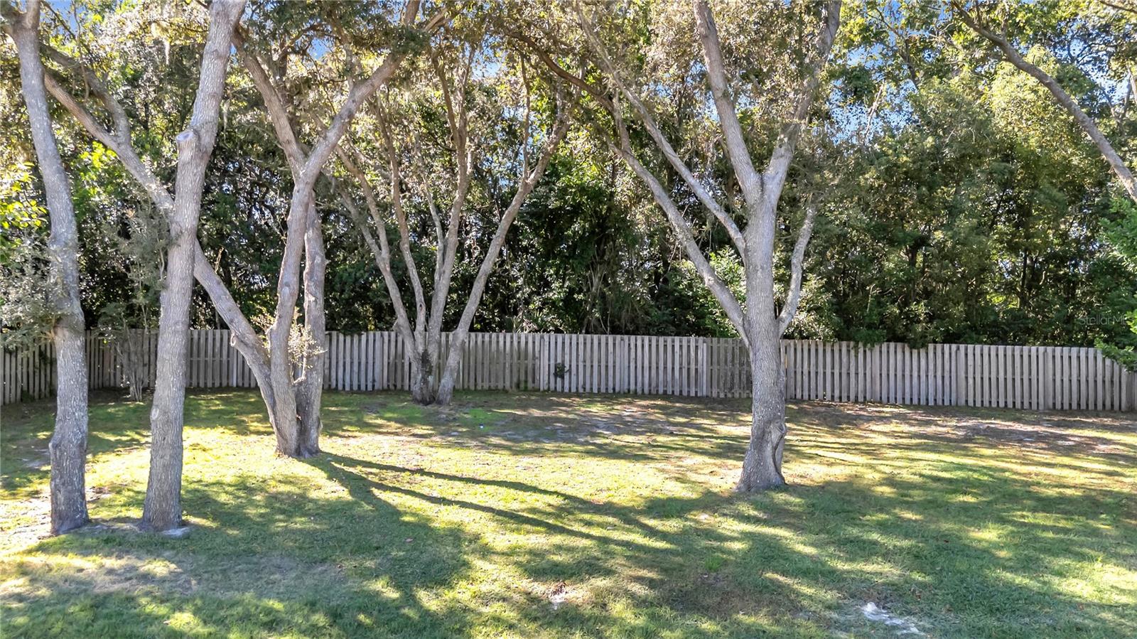 Image 42 of 57 For 657 Mount Stirling Avenue