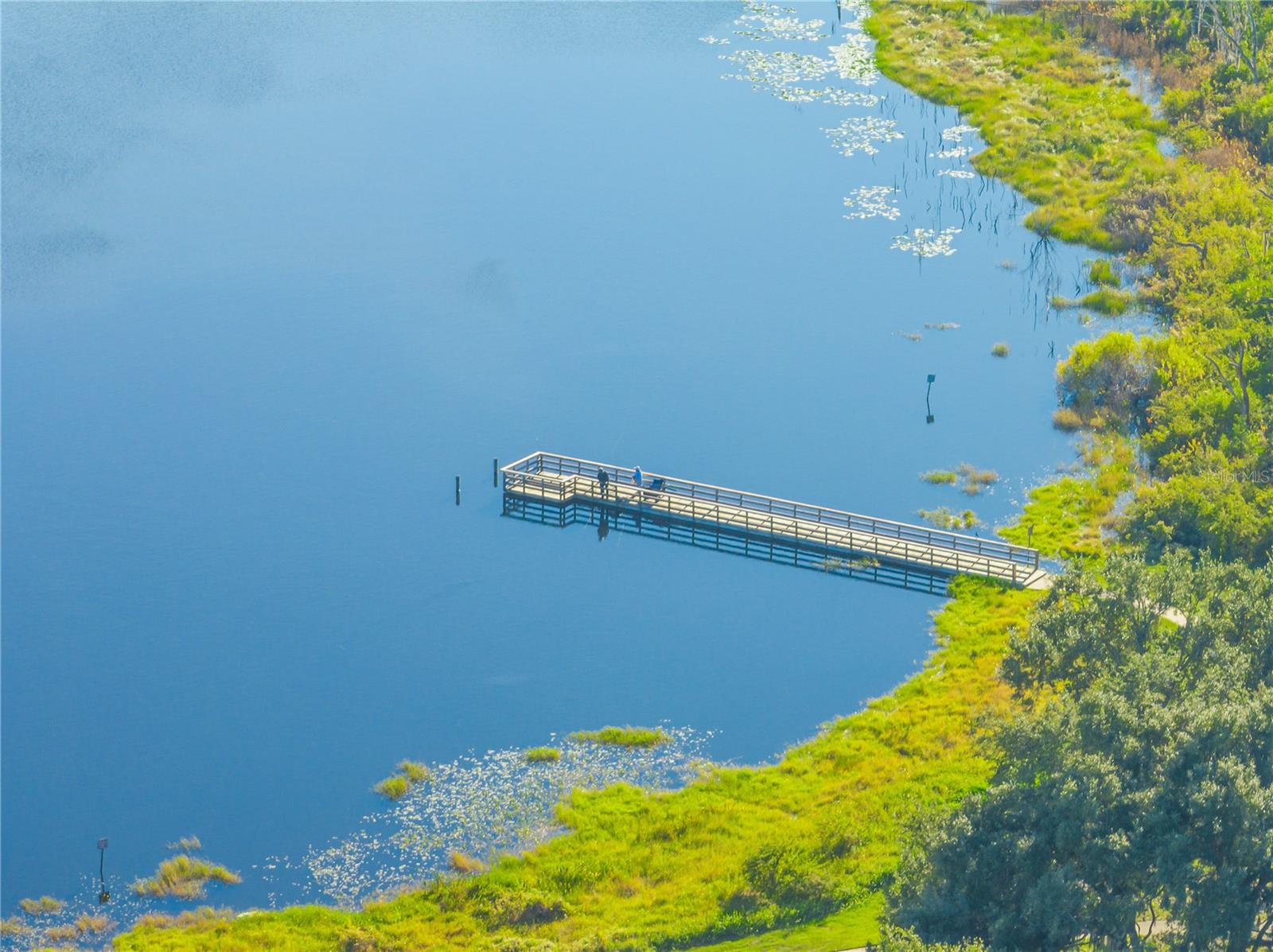 Listing photo id 53 for 2139 Cunard Court