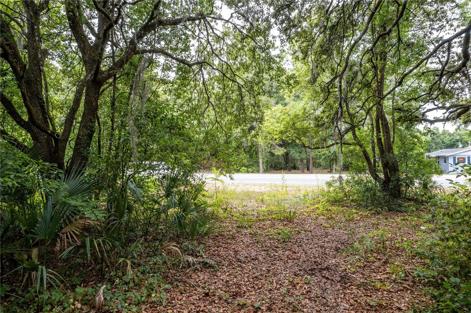 Image 19 of 20 For Sorrento Avenue