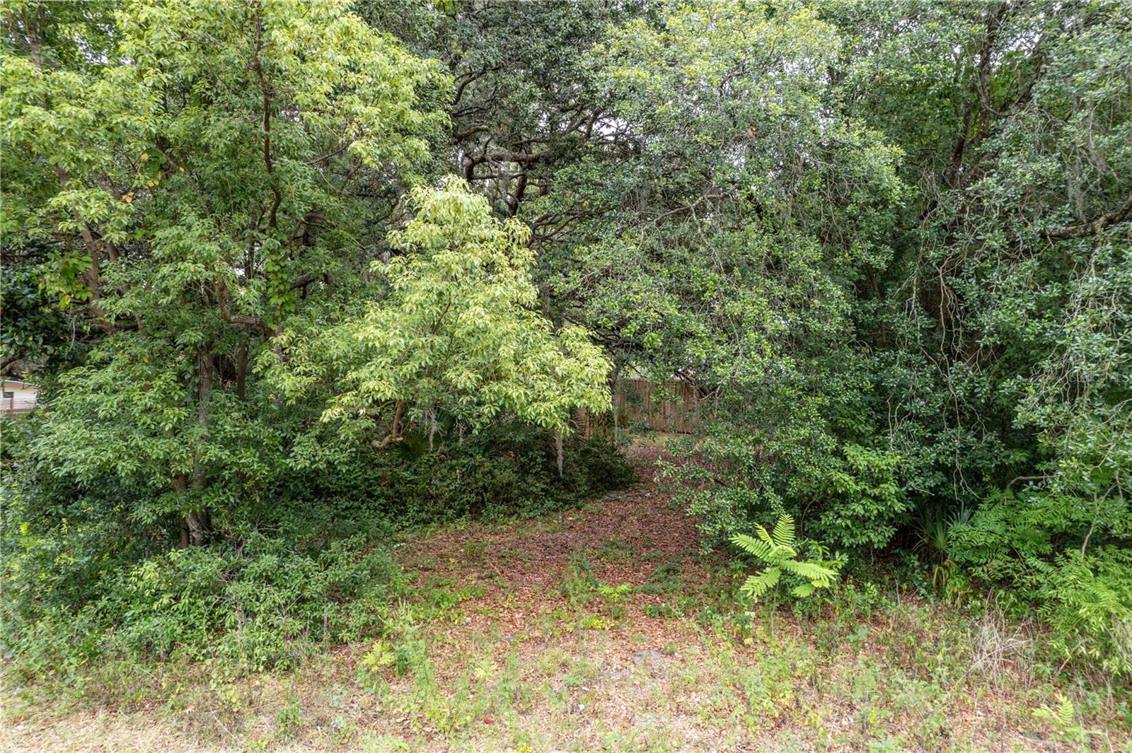 Image 20 of 20 For Sorrento Avenue