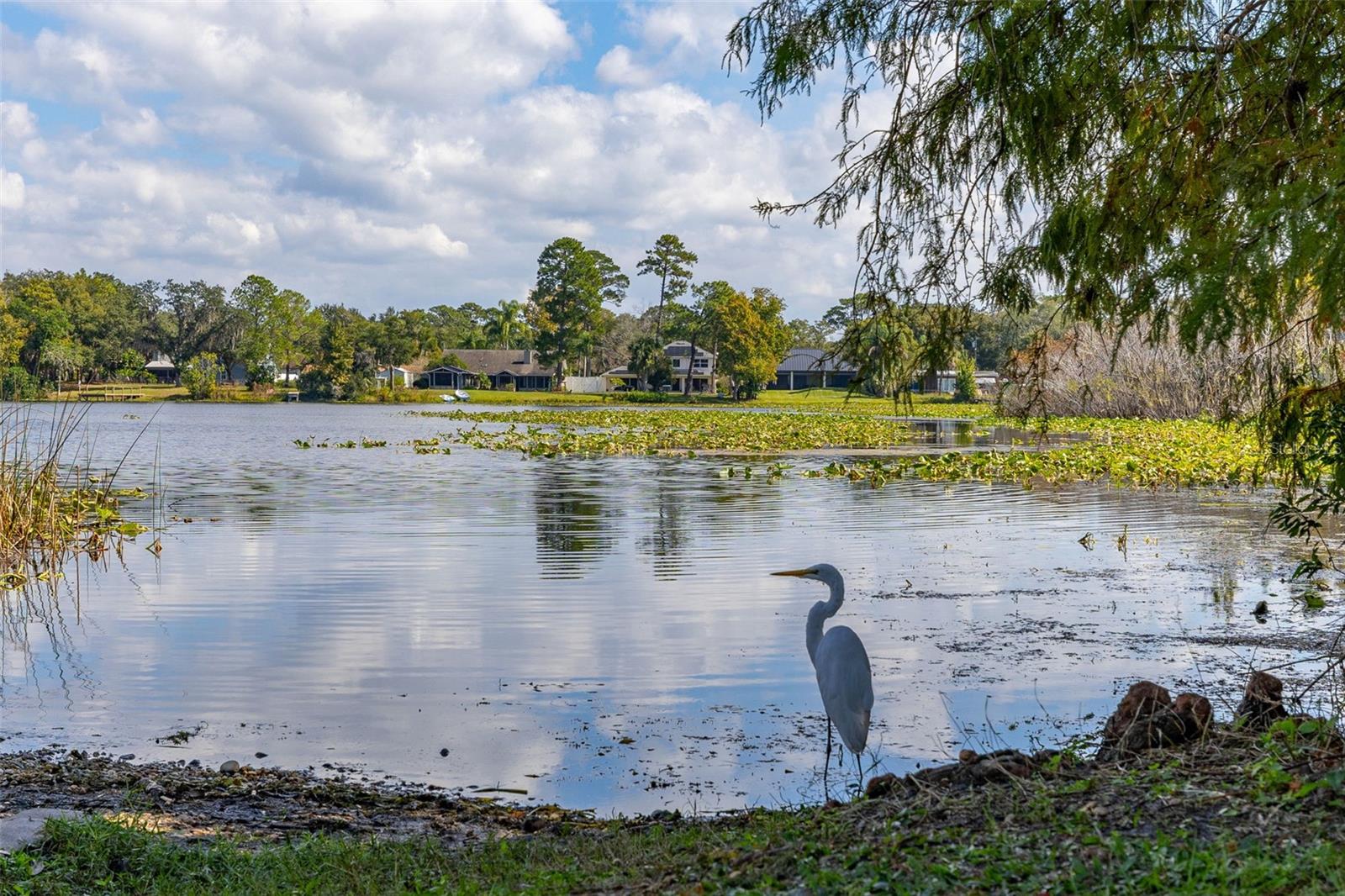 Image 43 of 54 For 191 Northmoor Road