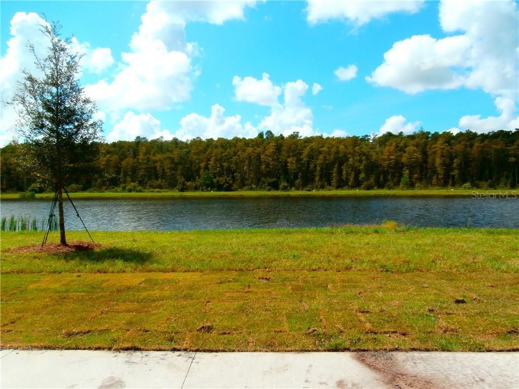 Image 19 of 25 For 8750 Dufferin Lane