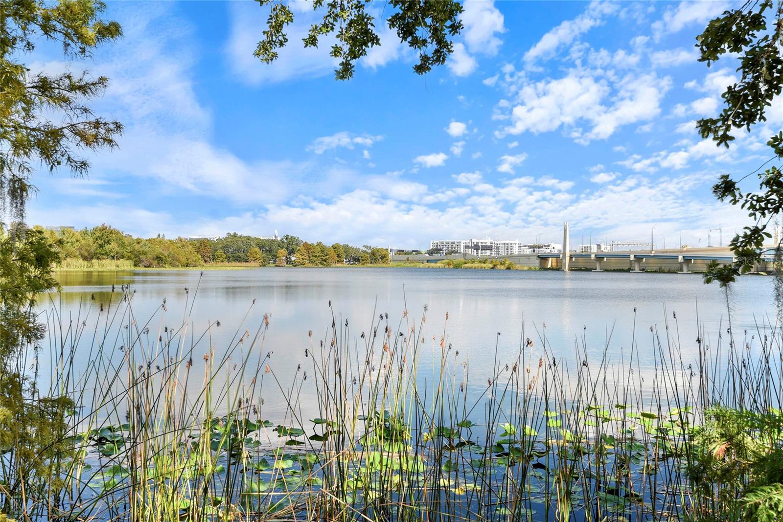 Image 63 of 71 For 1110 Ivanhoe Boulevard 5