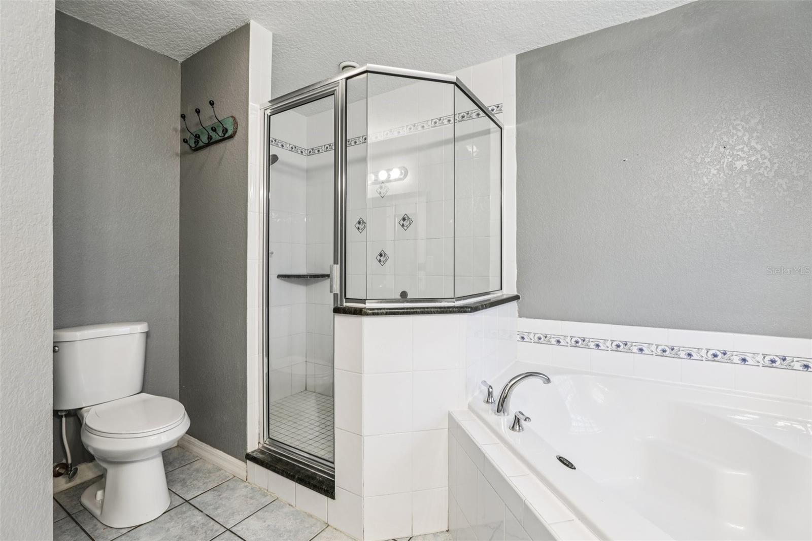 Image 16 of 36 For 31154 Lochmore Circle