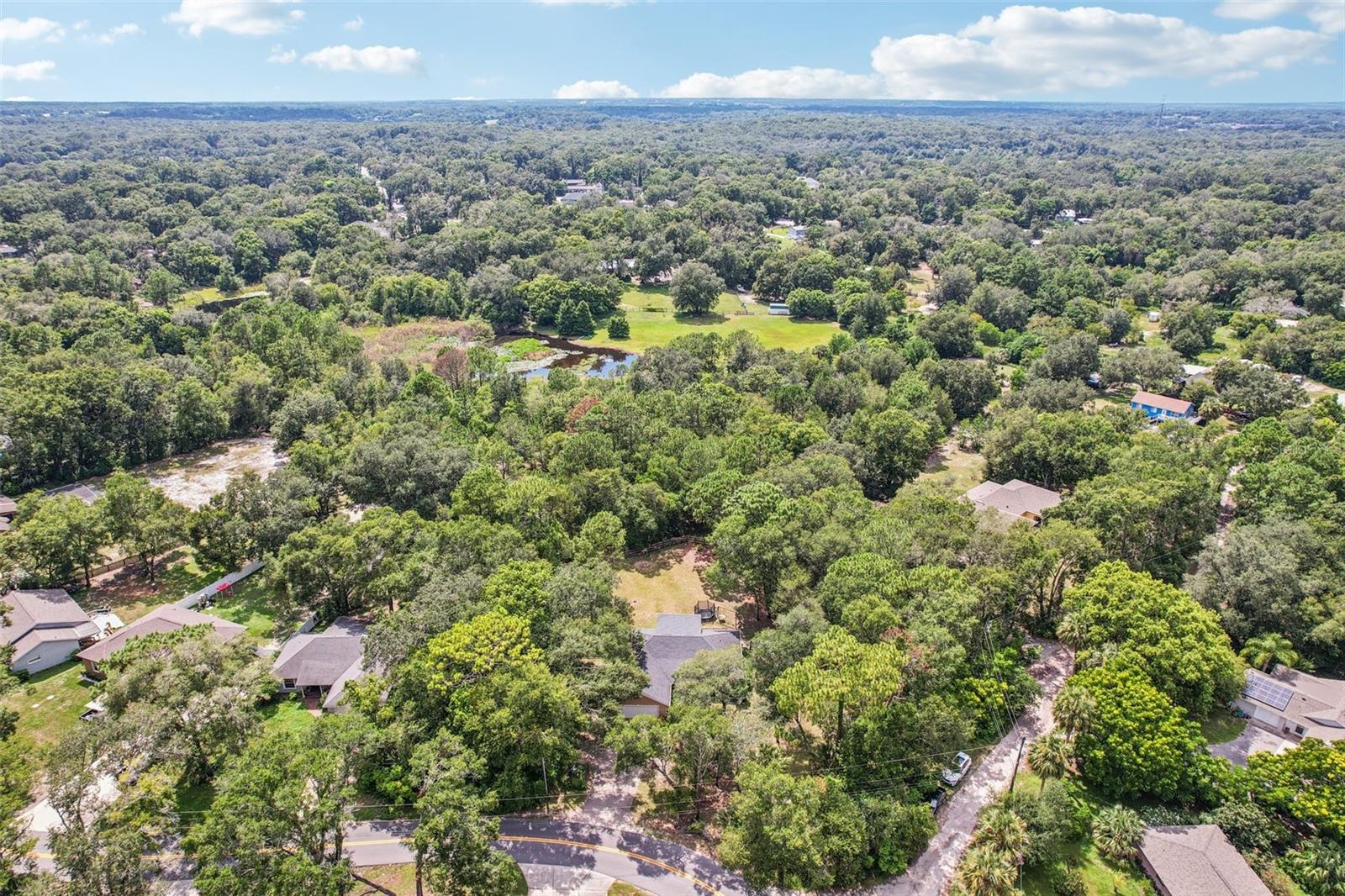 Image 27 of 36 For 31154 Lochmore Circle