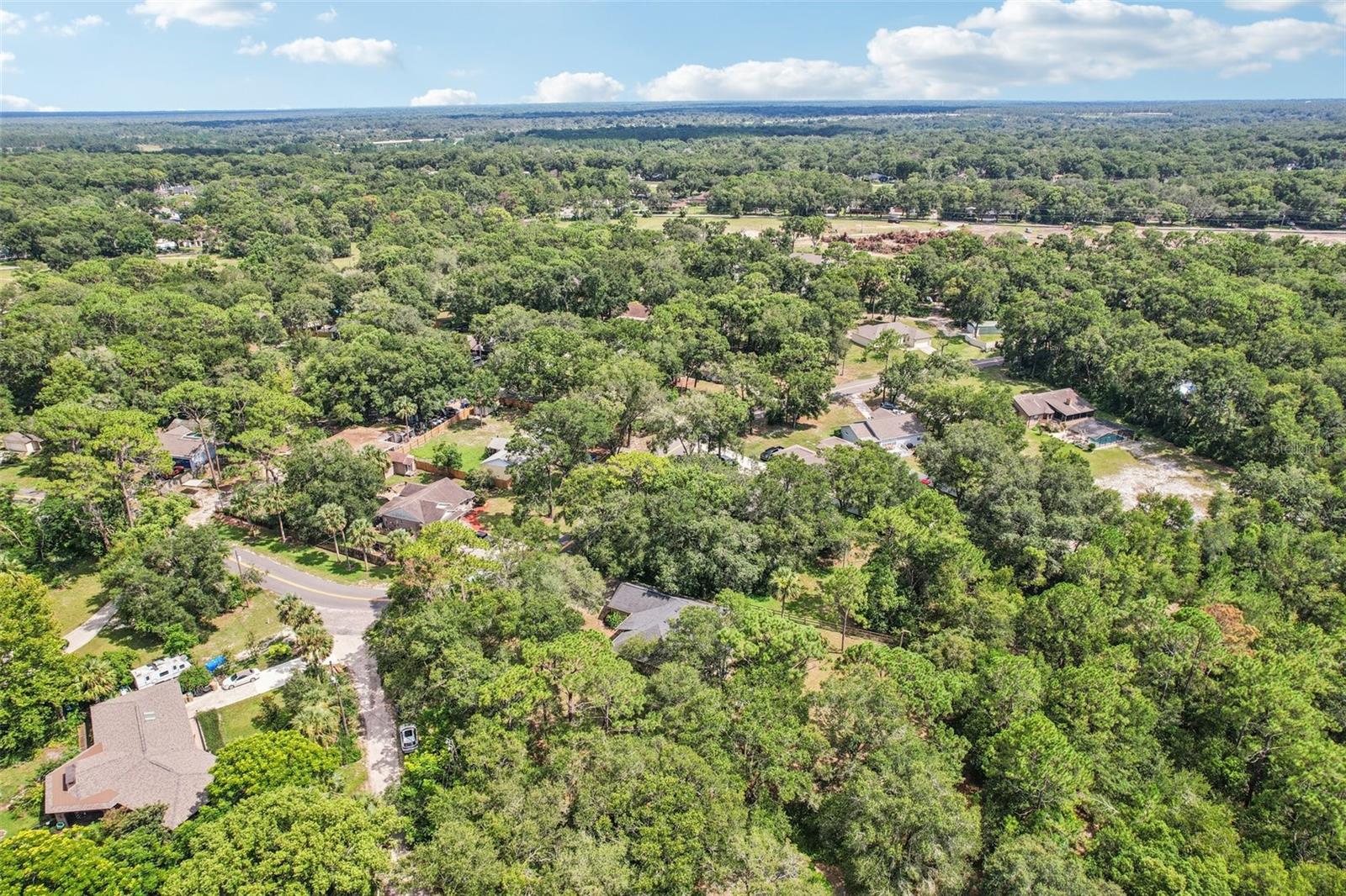 Image 29 of 36 For 31154 Lochmore Circle