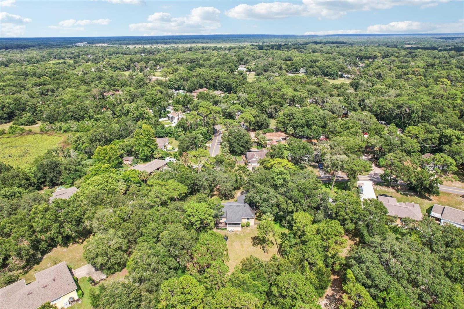 Image 30 of 36 For 31154 Lochmore Circle