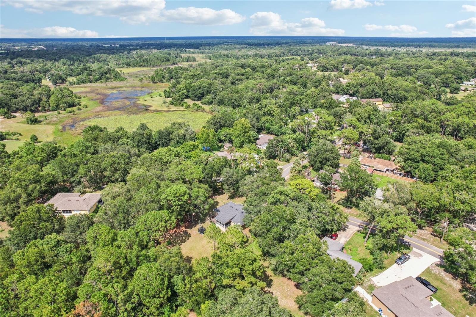 Image 31 of 36 For 31154 Lochmore Circle