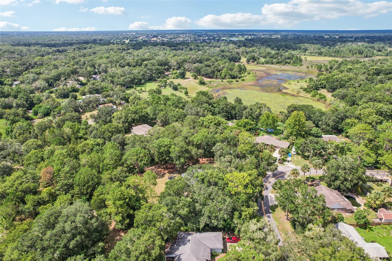 Image 32 of 36 For 31154 Lochmore Circle