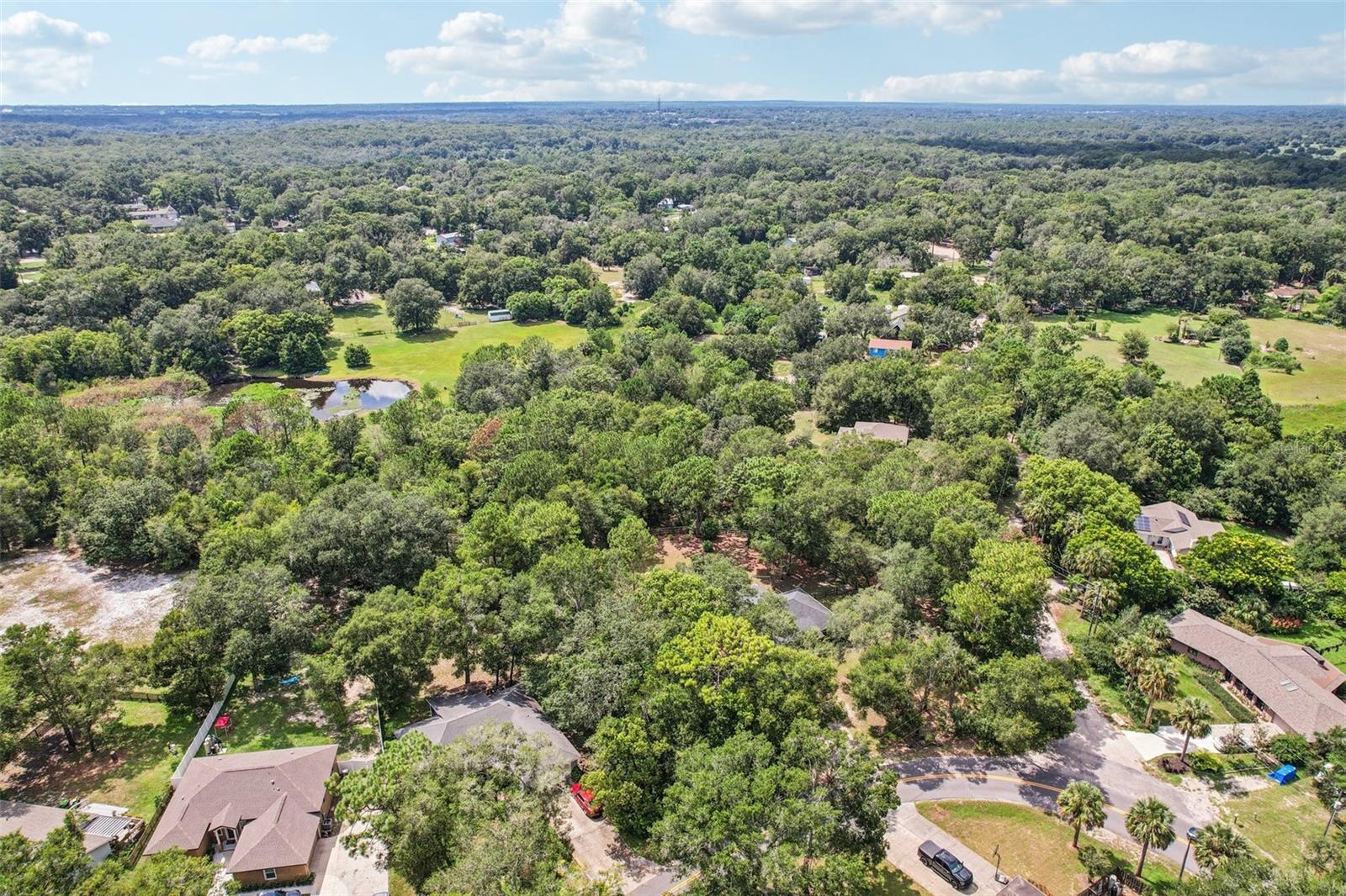 Image 33 of 36 For 31154 Lochmore Circle