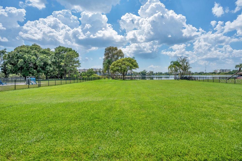 Image 65 of 75 For 49 Interlaken Road