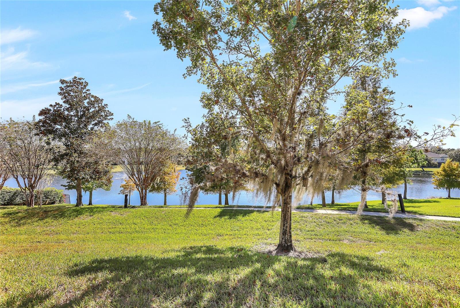 Image 34 of 38 For 6206 Castelven Drive 104