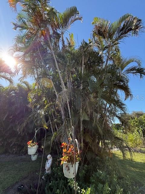 Image 47 of 50 For 915 Cardinal Street