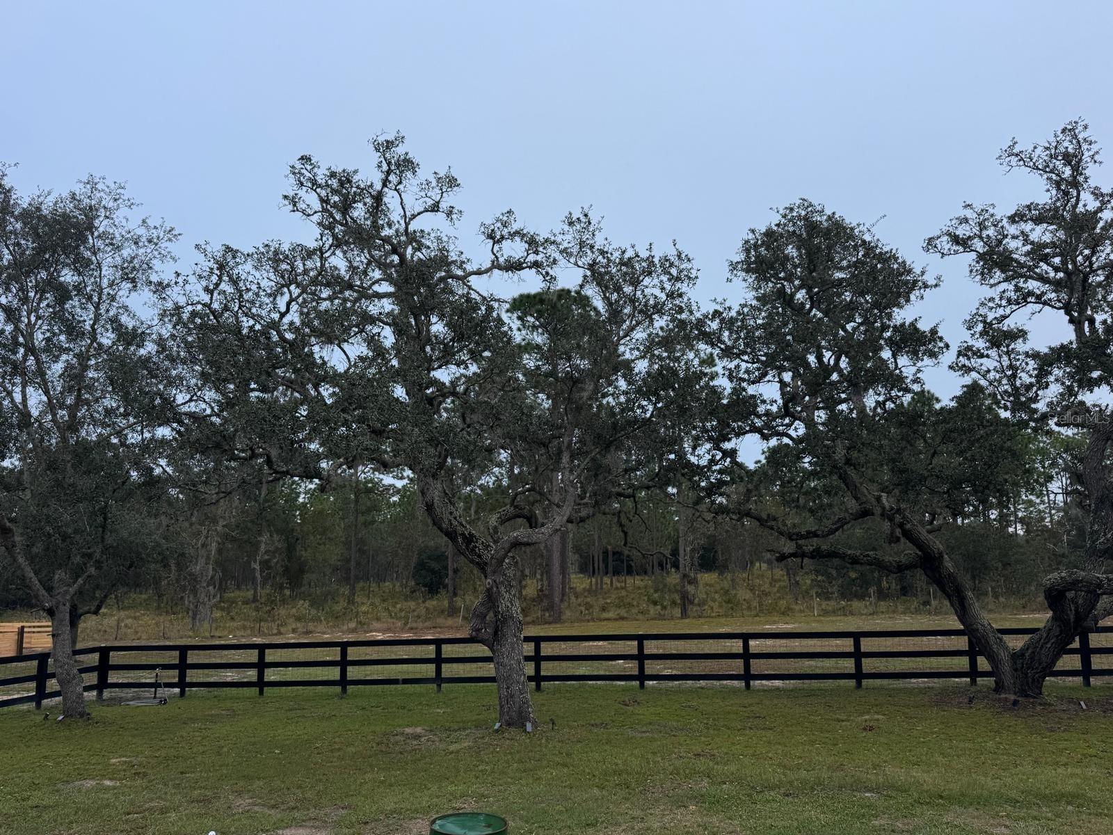 Image 10 of 43 For 12991 77th Street