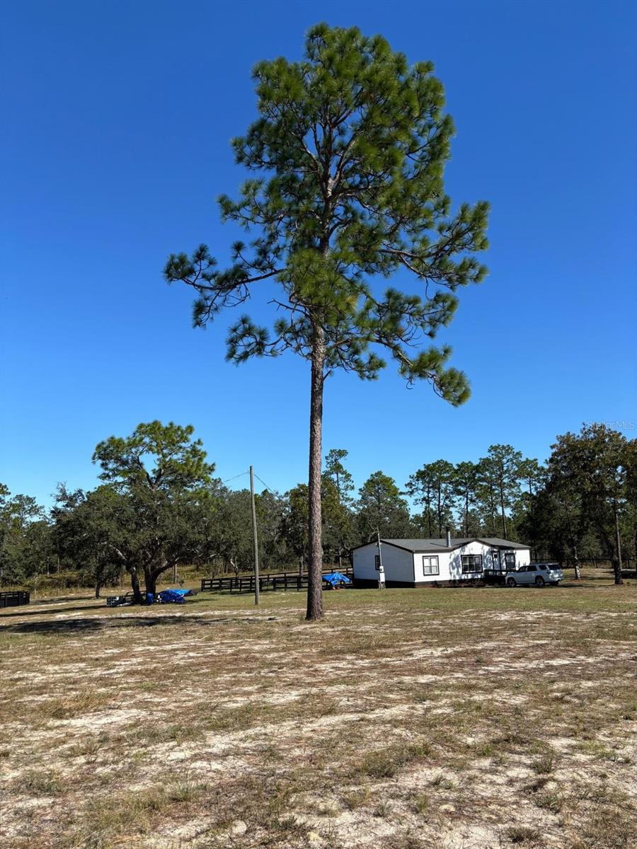 Image 39 of 43 For 12991 77th Street