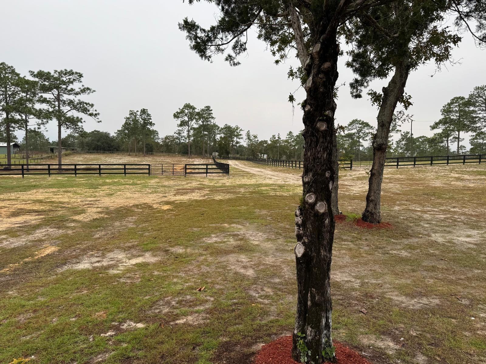 Image 41 of 43 For 12991 77th Street