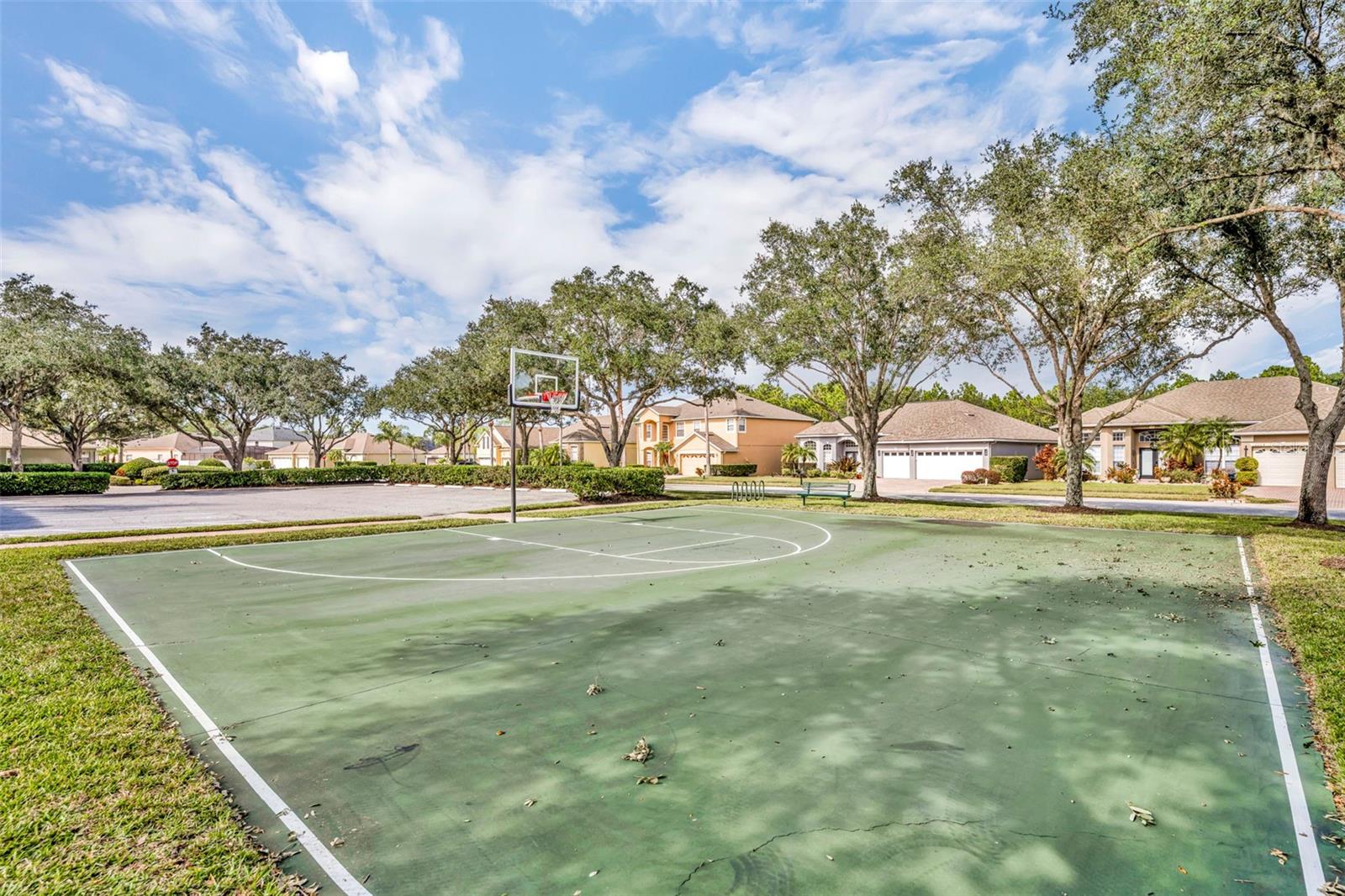 Image 42 of 50 For 10007 Ians Ridge Road