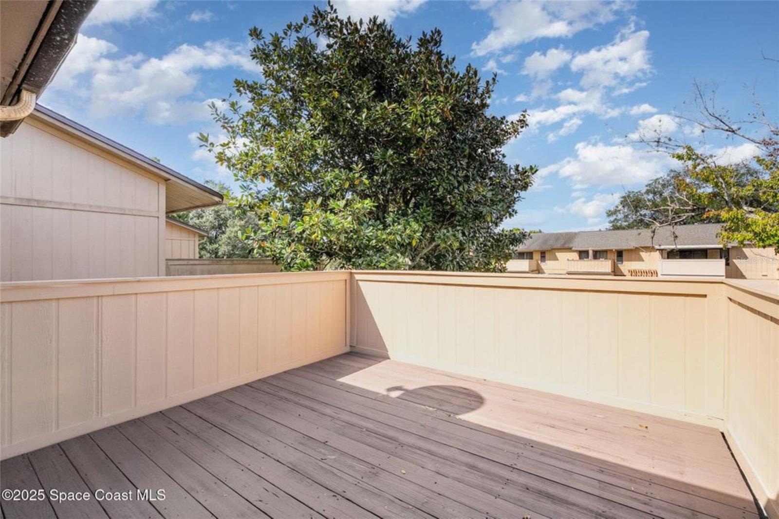 Image 17 of 24 For 1913 Cashew  