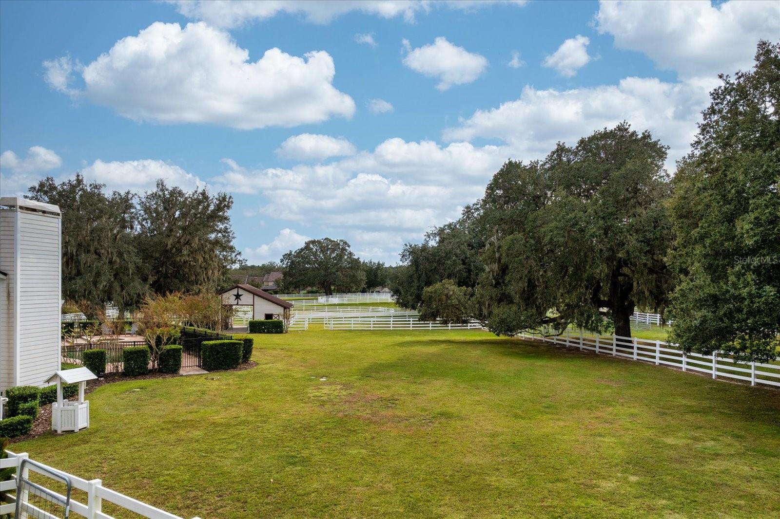 Image 49 of 66 For 401 Kentucky Blue Circle