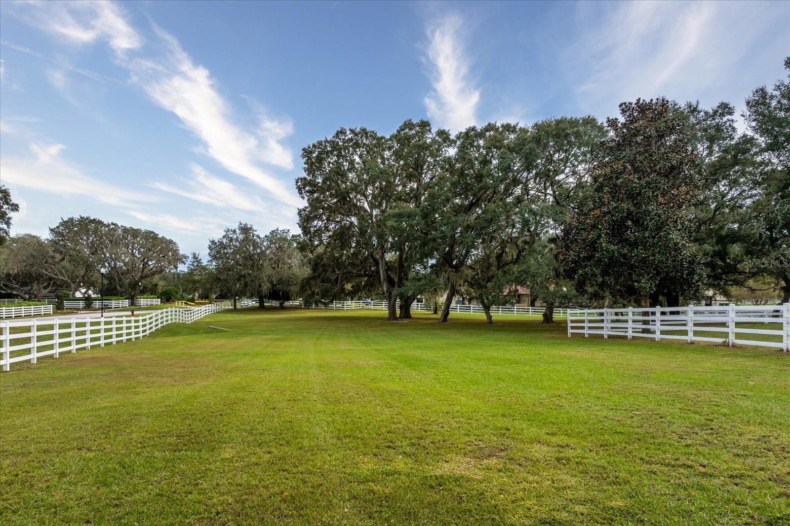 Image 63 of 66 For 401 Kentucky Blue Circle