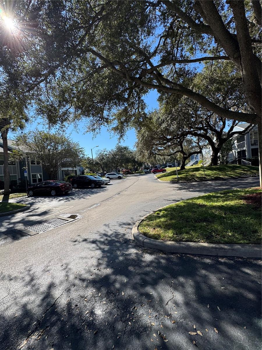 Image 22 of 22 For 2549 Grassy Point Drive 203