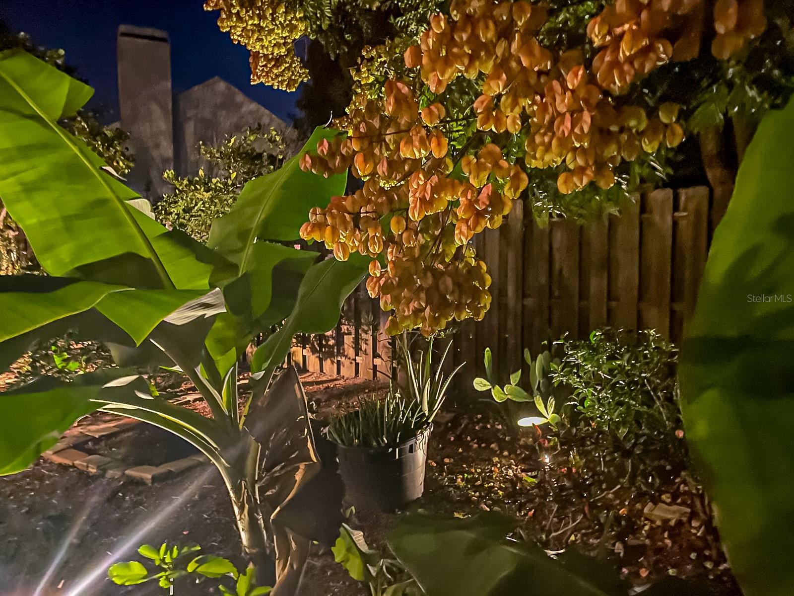 Image 35 of 40 For 817 Garden Glen