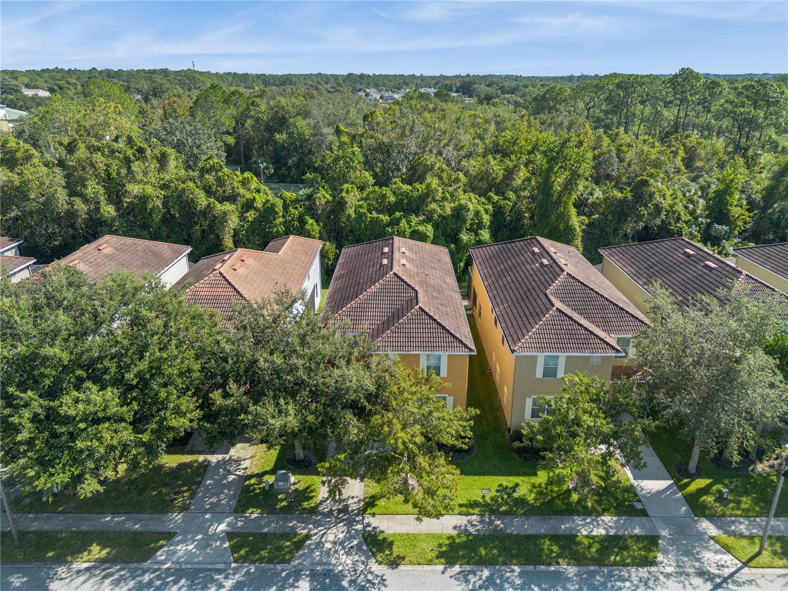 Image 3 of 51 For 8902 Candy Palm Road