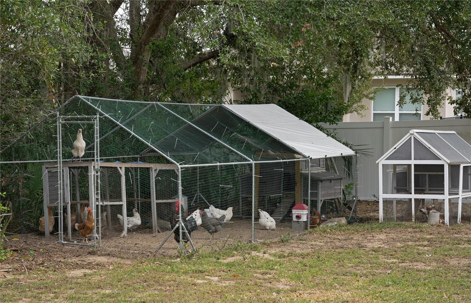 Image 33 of 41 For 73 Abrams Road