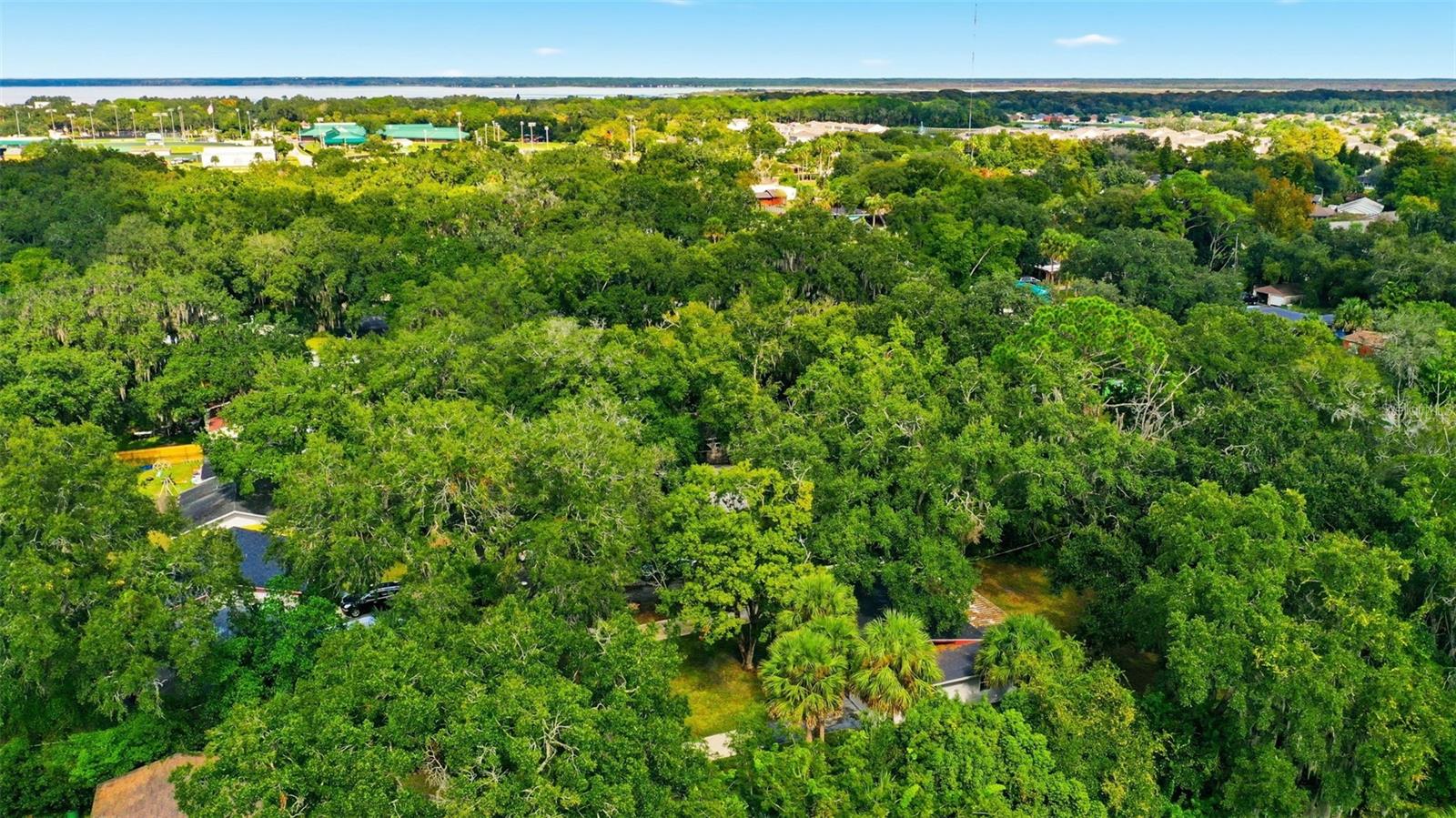 Image 36 of 36 For 1515 Elliott Street