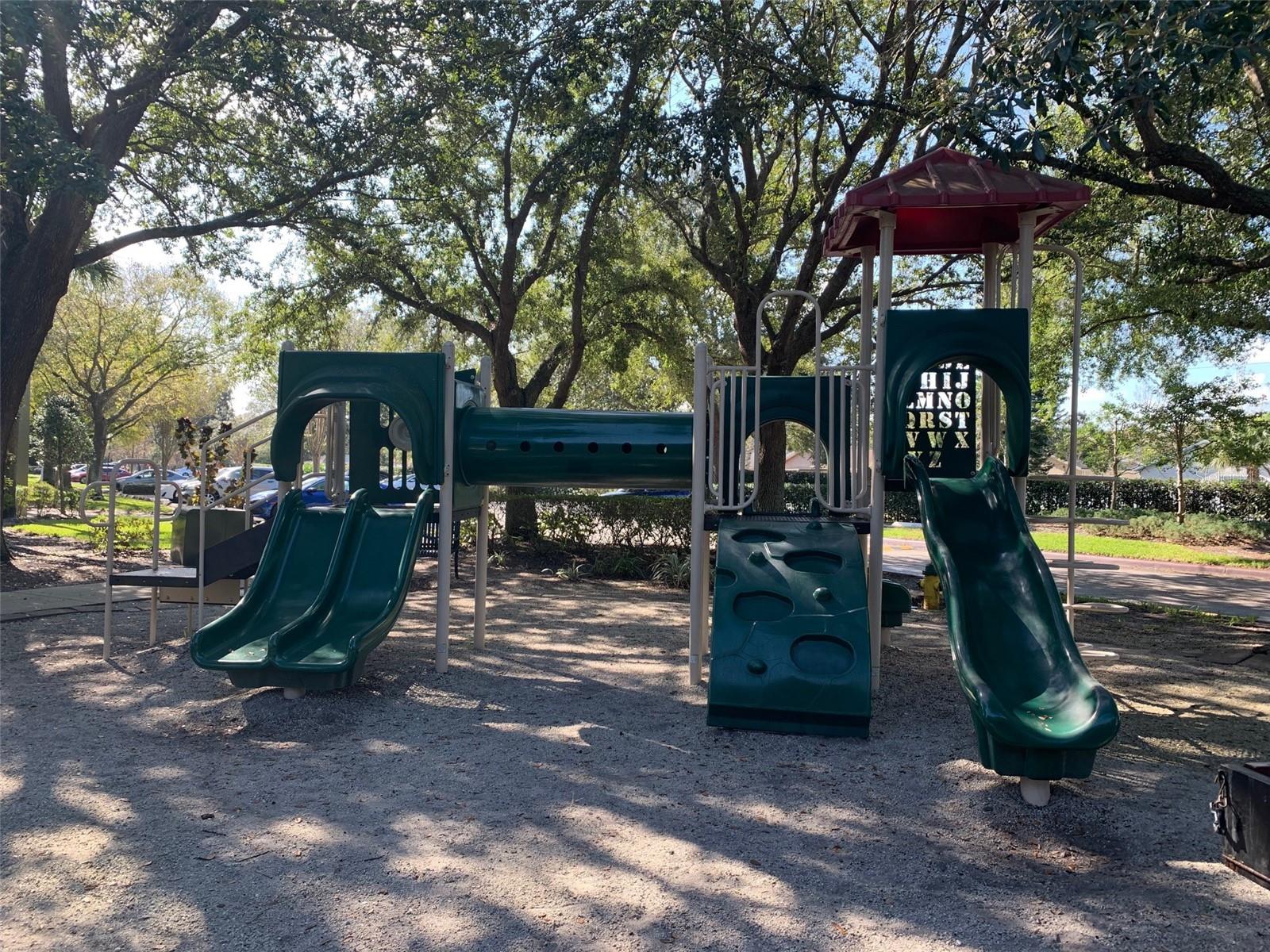 Image 20 of 24 For 2007 Dixie Belle Drive 2007d