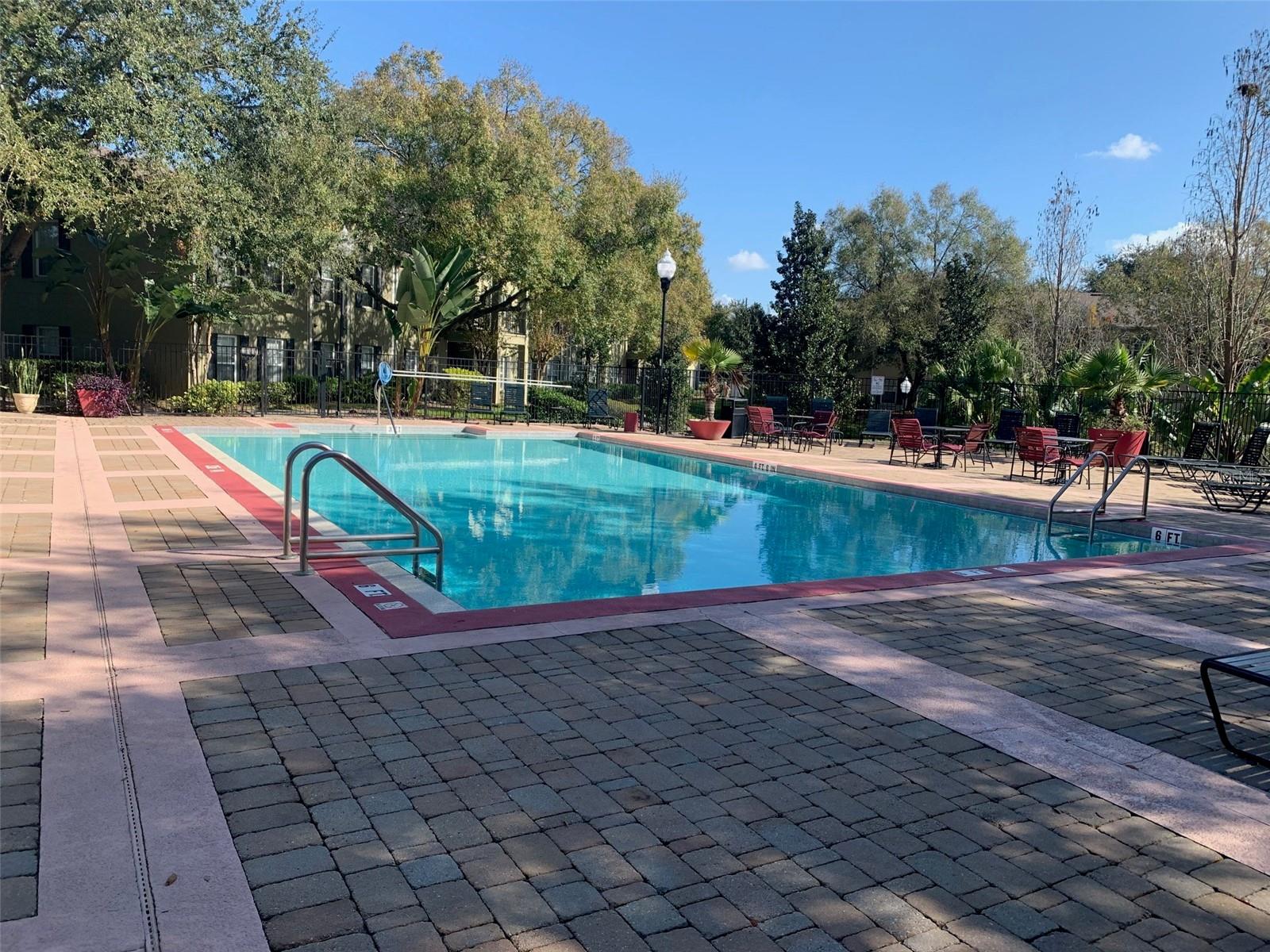 Image 23 of 24 For 2007 Dixie Belle Drive 2007d