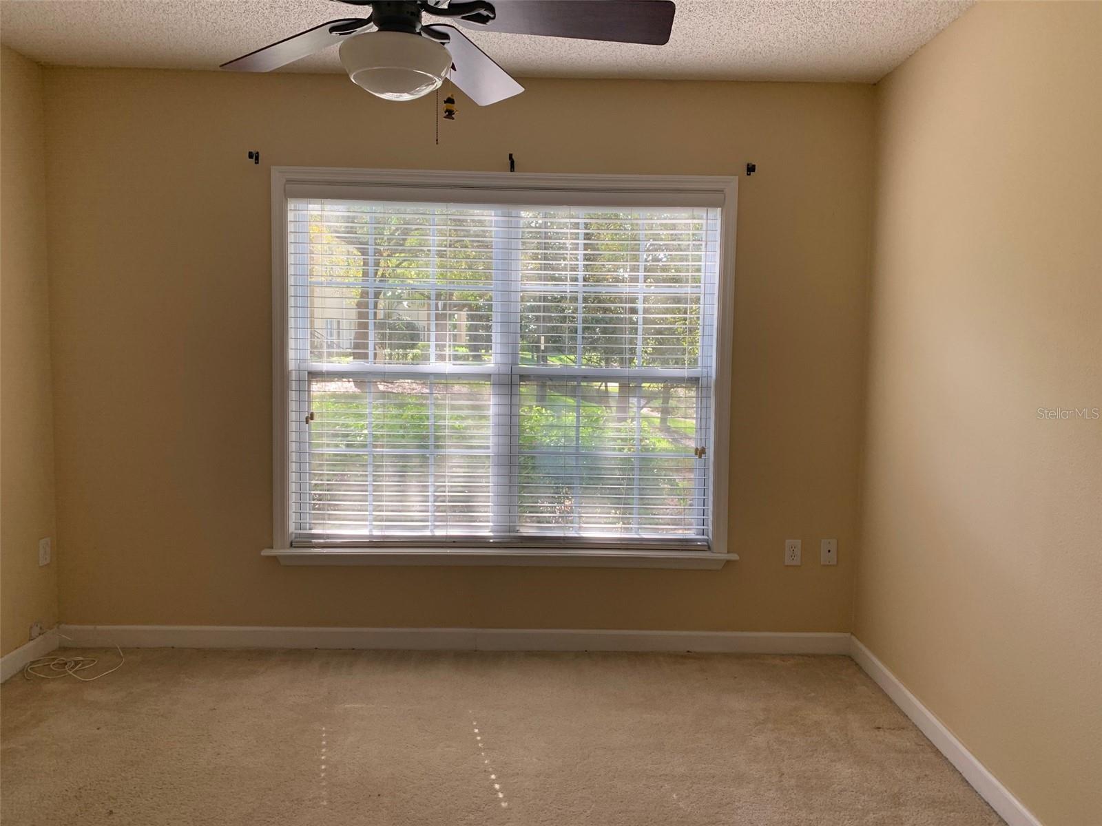 Image 8 of 24 For 2007 Dixie Belle Drive 2007d