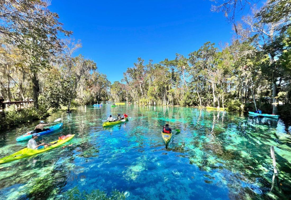 Image 49 of 49 For 807 Hollywood Circle