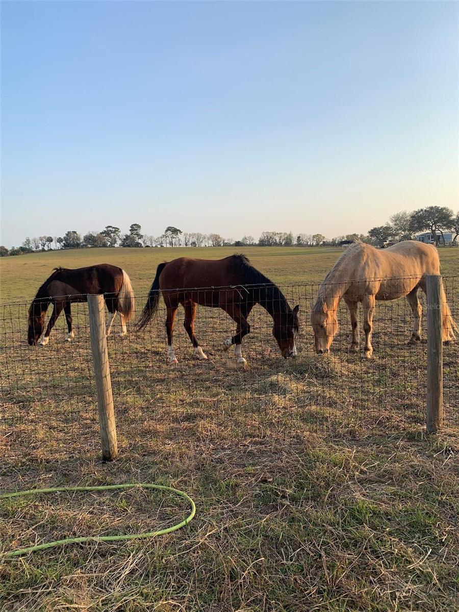 Image 11 of 19 For 12350 97th Place