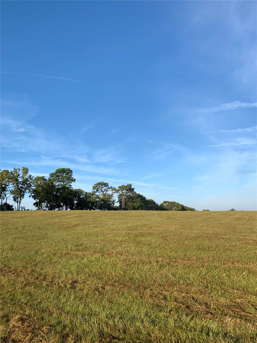 Image 8 of 19 For 12350 97th Place