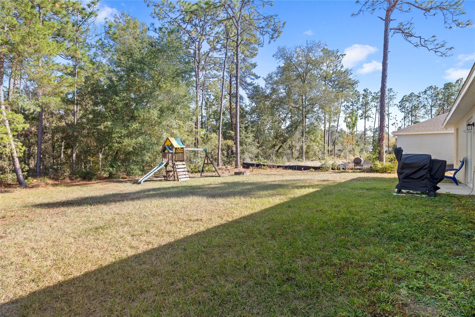 Listing photo id 22 for 163 Marion Oaks Pass