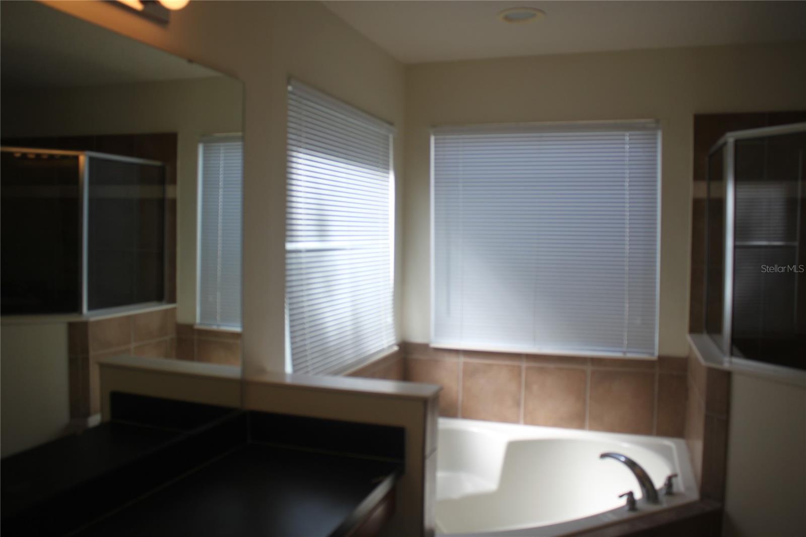 Image 15 of 26 For 4542 Blue Major Drive