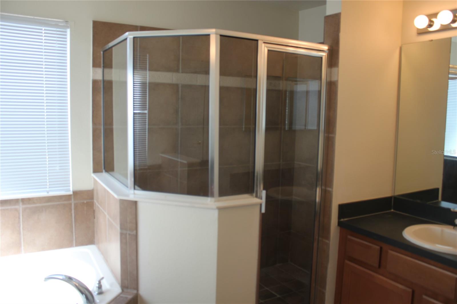 Image 16 of 26 For 4542 Blue Major Drive