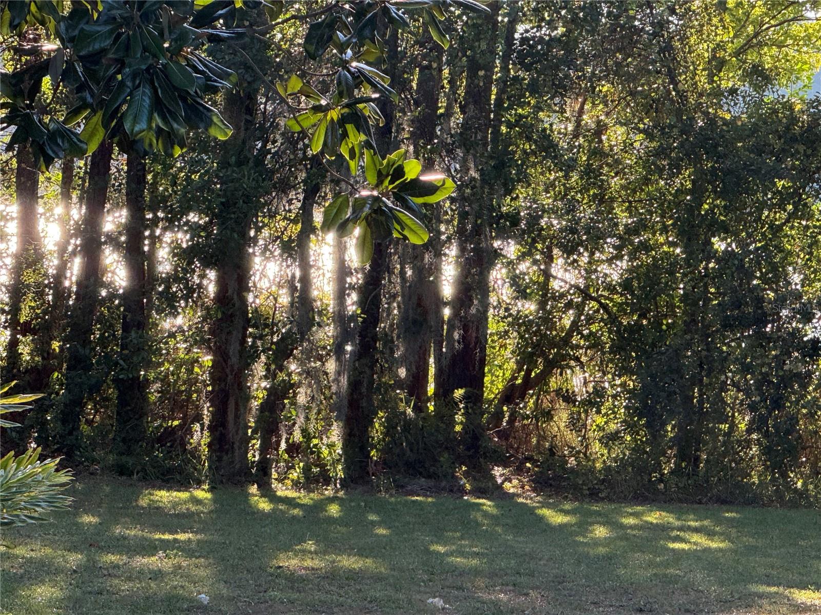 Image 4 of 23 For 5915 Crystal View Drive