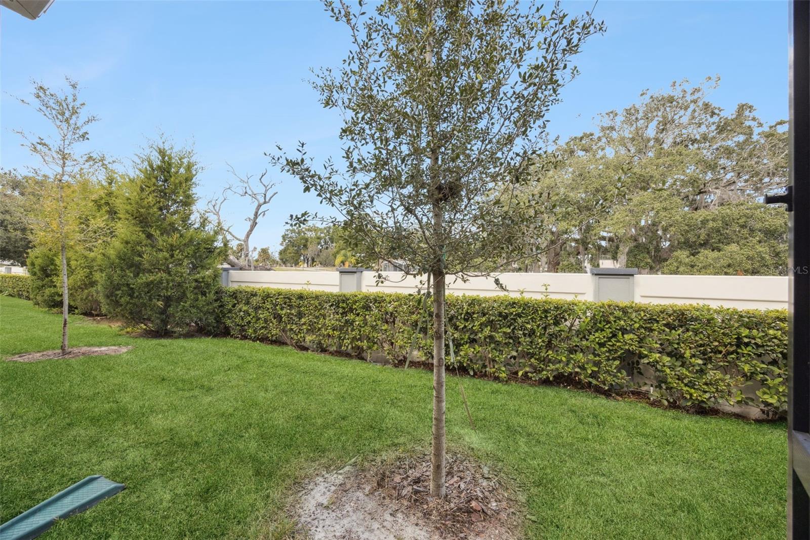 Image 34 of 67 For 1900 Erudite Way